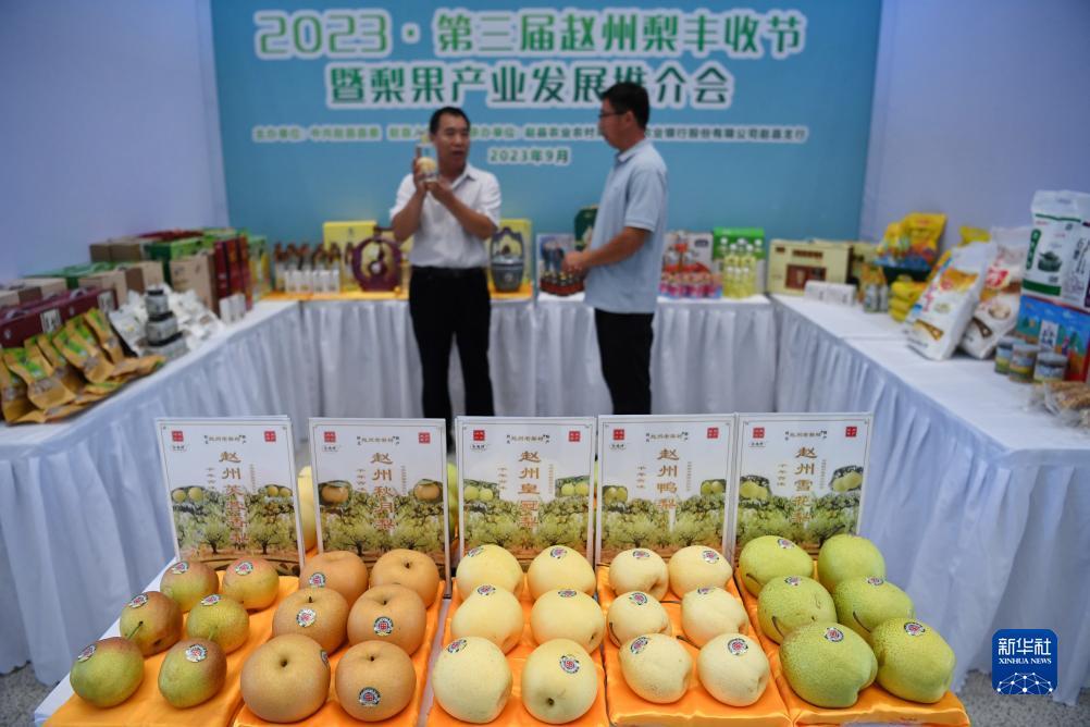 永利网络注册